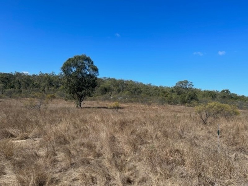 Lot 2 Mattson Road, Mount Larcom QLD 4695