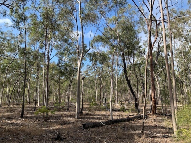 Lot 2 Mattson Road, Mount Larcom QLD 4695