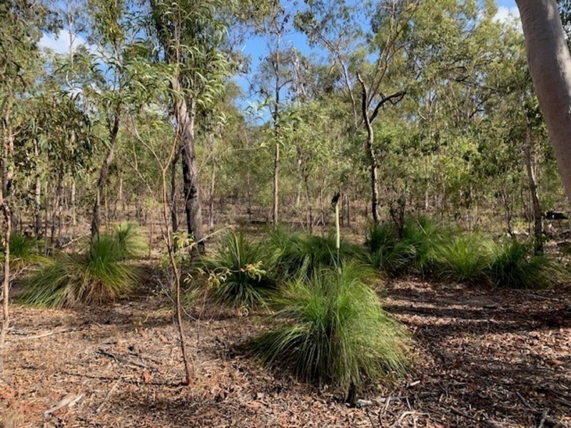 Lot 2 Mattson Road, Mount Larcom QLD 4695