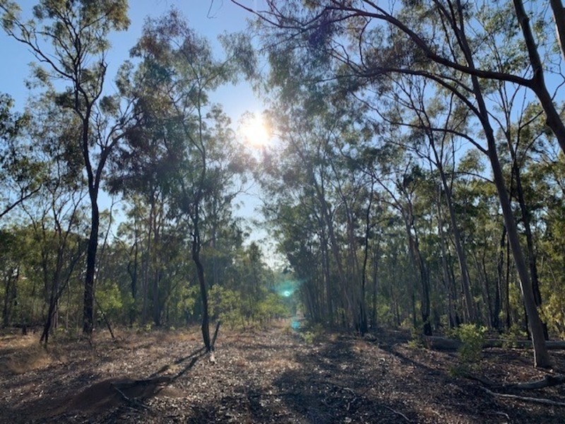 Lot 2 Mattson Road, Mount Larcom QLD 4695