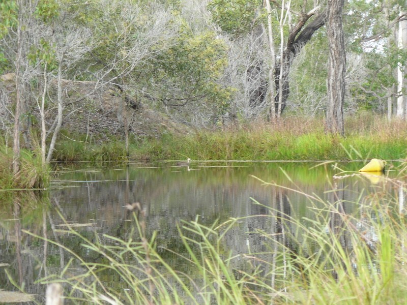 1400 Buxton Rd, Childers QLD 4660