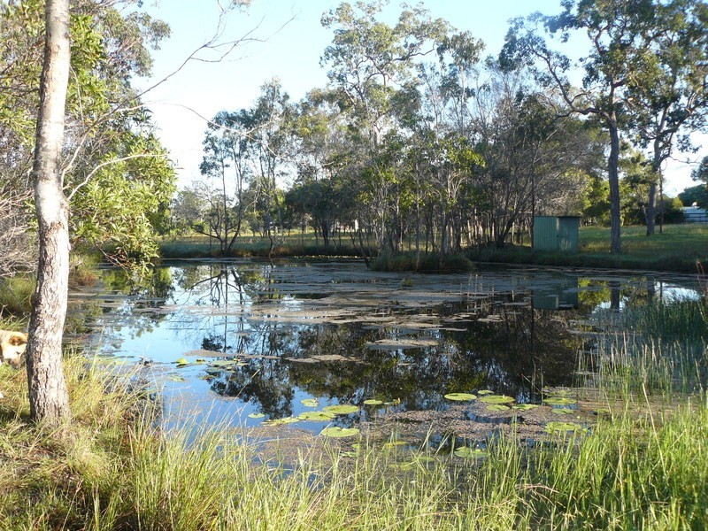 1400 Buxton Rd, Childers QLD 4660