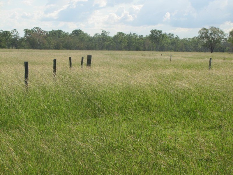 190 Schilling Lane, Calliope QLD 4680