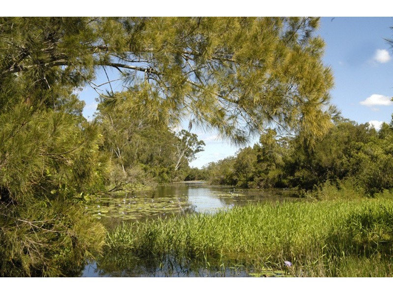 3136 Dawson Highway, Calliope QLD 4680