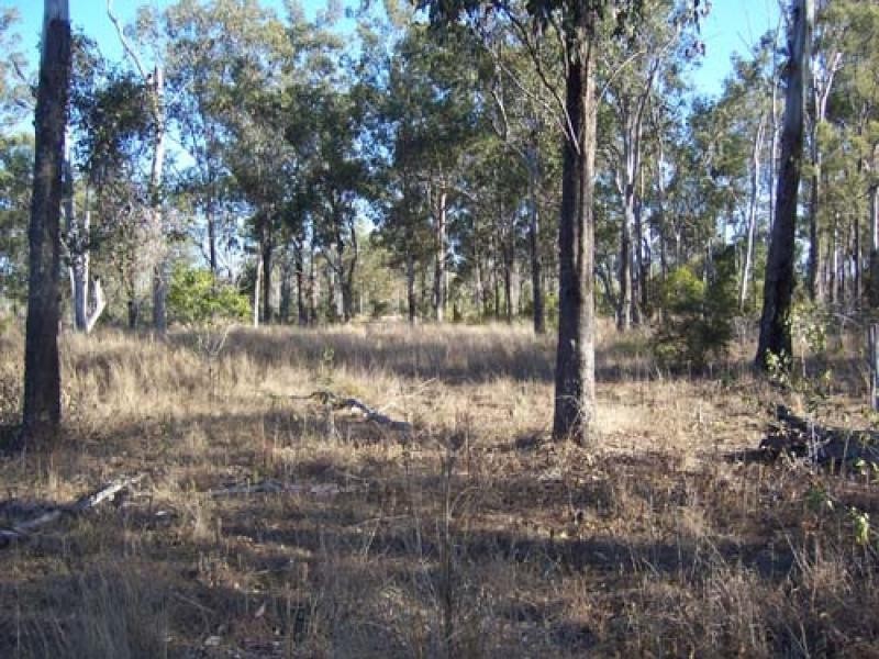 Mount Larcom QLD 4695