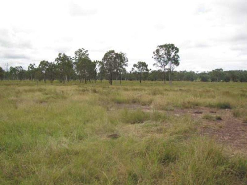 00 Willmott Road, Mount Larcom QLD 4695