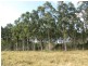 418 Potters Rd, Calliope QLD 4680
