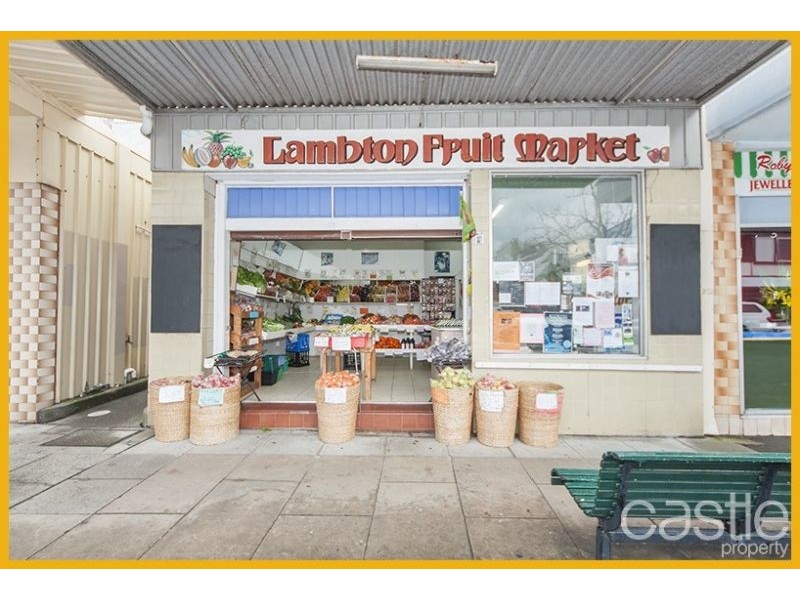 98 Elder St, Lambton NSW 2299