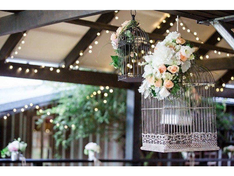 Floral Design & Styling, Newcastle NSW 2300