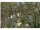 121 Broadmeadow Rd, Broadmeadow NSW 2292