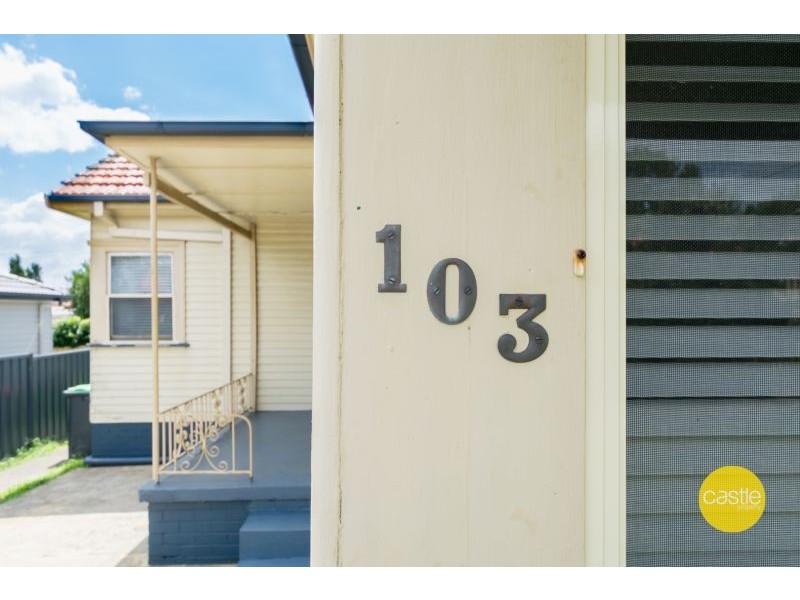 103 Lorna Street, Waratah West NSW 2298