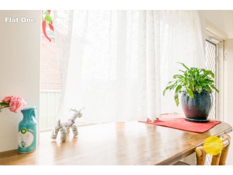 51 Roe Street, Mayfield NSW 2304