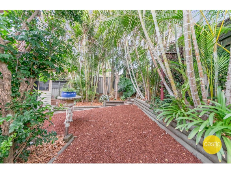 19 Green Street, North Lambton NSW 2299