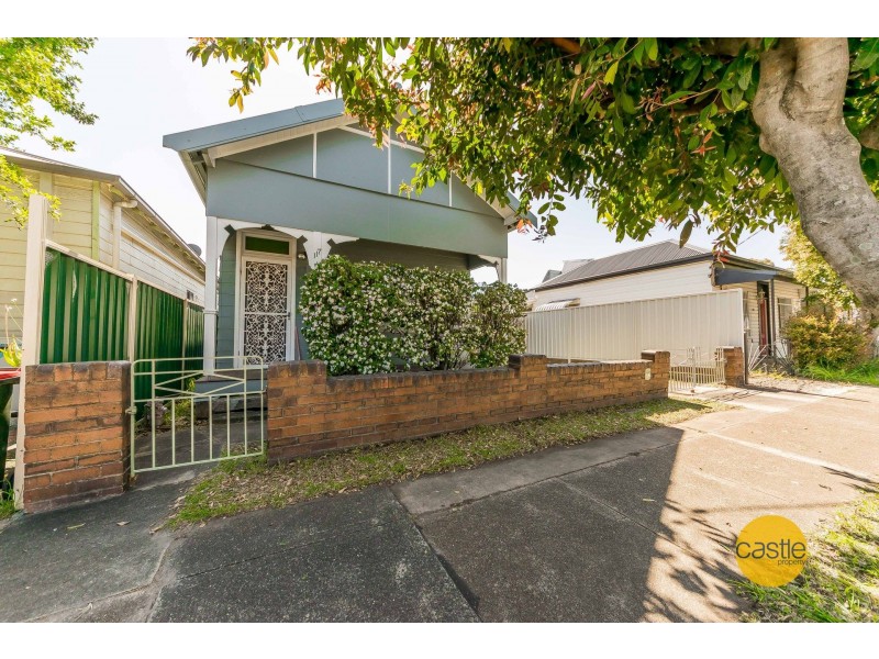 117 Fern Street, Islington NSW 2296