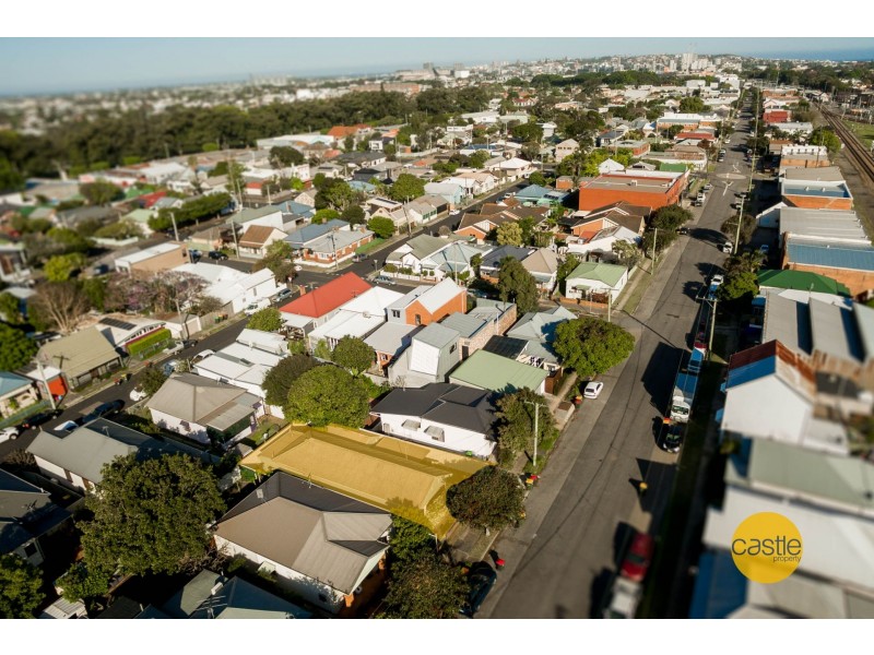 117 Fern Street, Islington NSW 2296