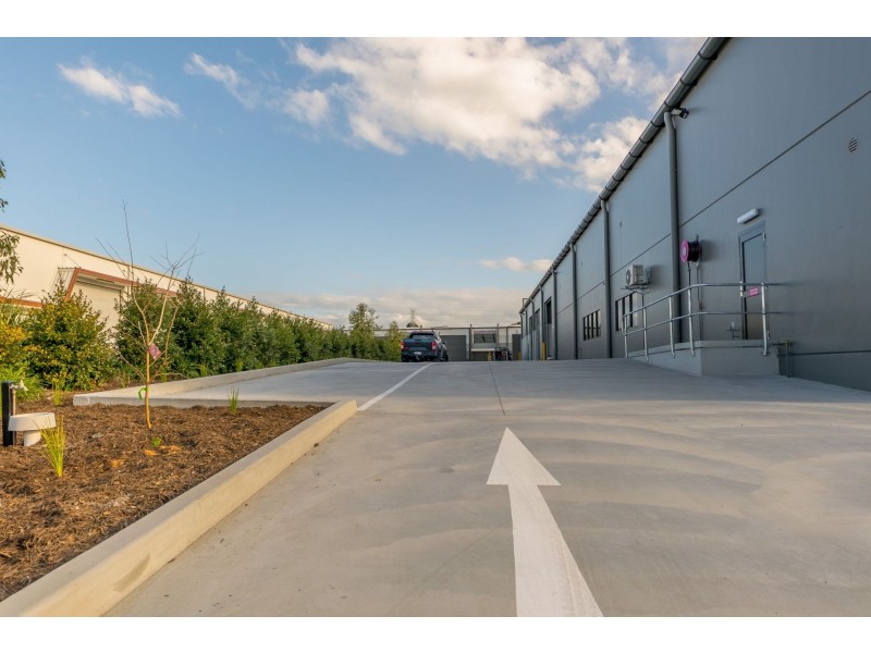 19 Riverside Drive, Mayfield West NSW 2304