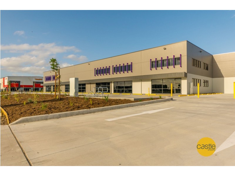 19 Riverside Drive, Mayfield West NSW 2304