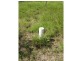 Charters Towers QLD 4820