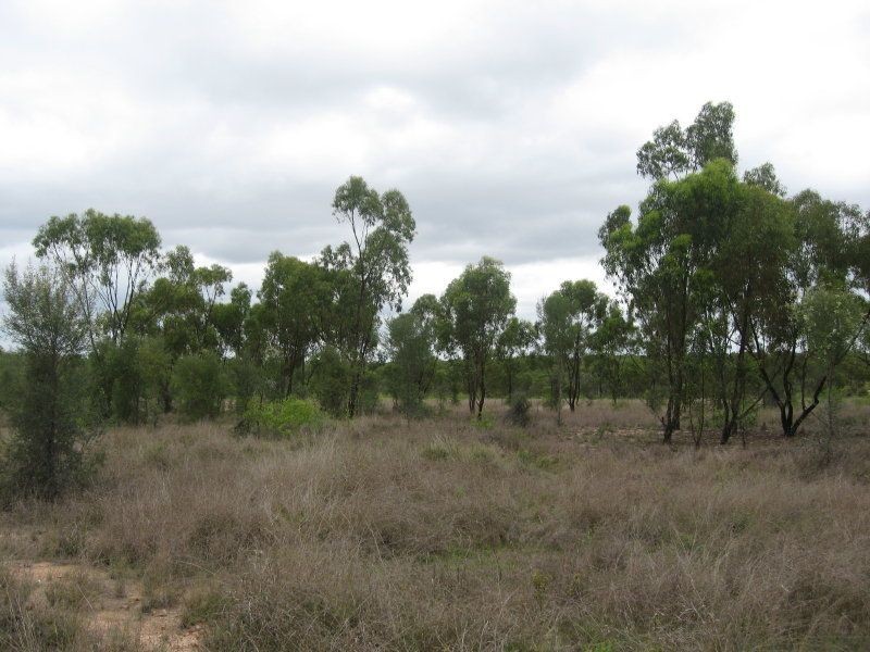 55 Fegan Road, Charters Towers QLD 4820