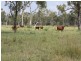 Belyando QLD 4820