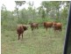 Belyando QLD 4820