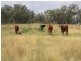 Belyando QLD 4820