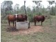 Belyando QLD 4820