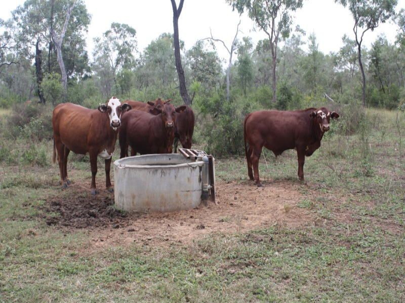 Belyando QLD 4820