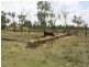 Belyando QLD 4820