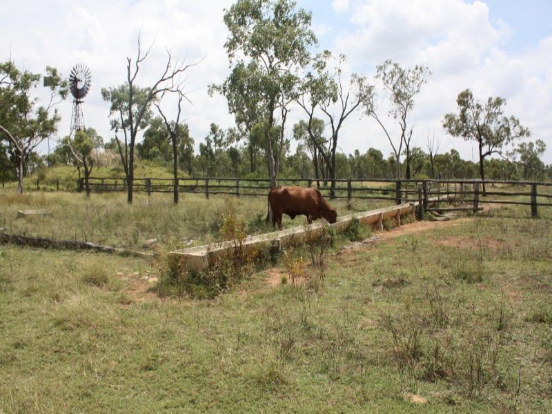 Belyando QLD 4820