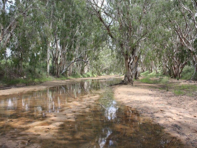 Belyando QLD 4820