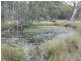 Belyando QLD 4820