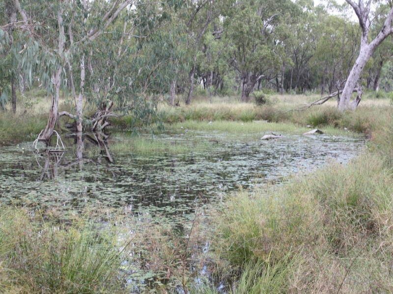 Belyando QLD 4820
