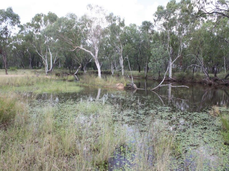 Belyando QLD 4820