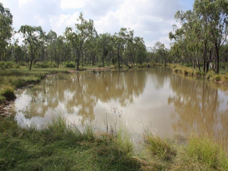 Belyando QLD 4820