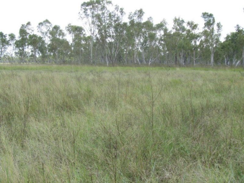 Belyando QLD 4820