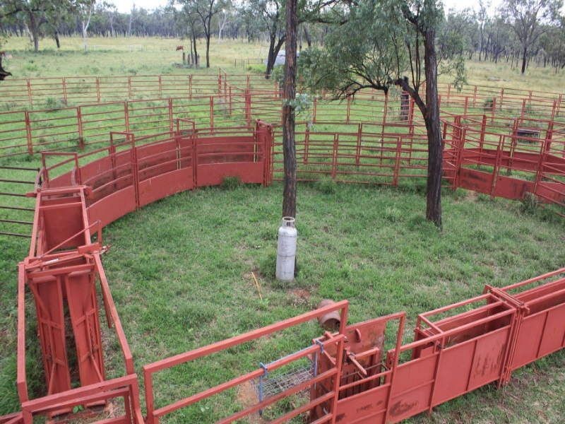 Belyando QLD 4820