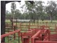 Belyando QLD 4820