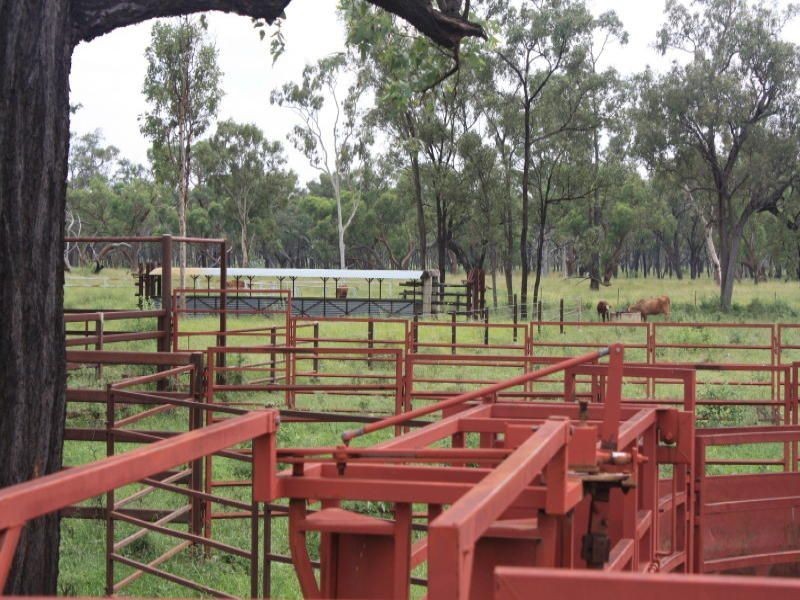 Belyando QLD 4820