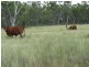Belyando QLD 4820