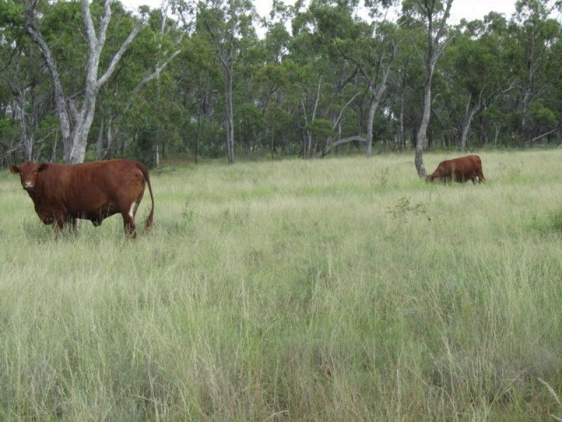 Belyando QLD 4820
