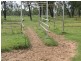 Belyando QLD 4820