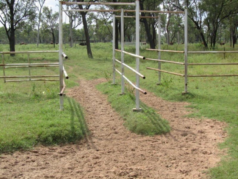 Belyando QLD 4820