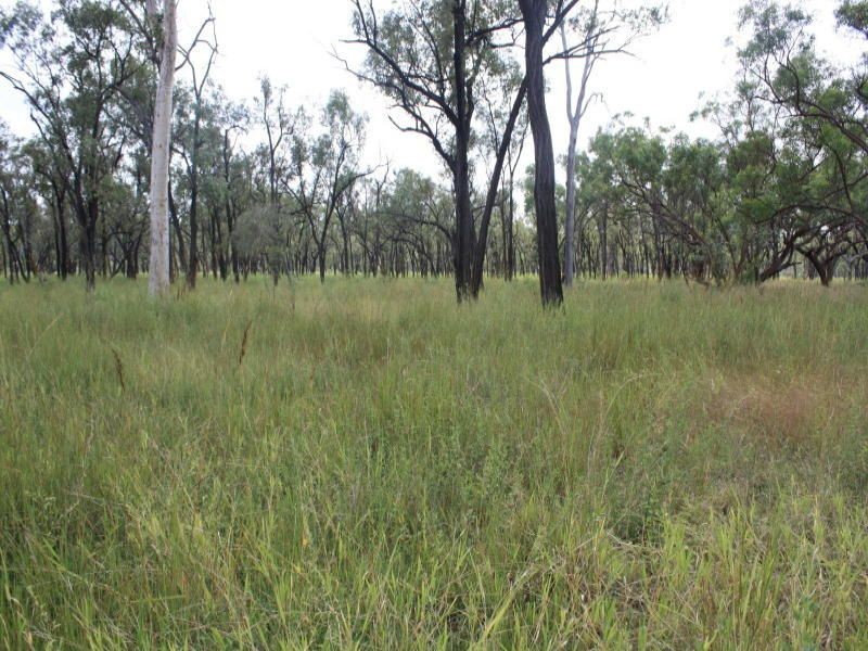 Belyando QLD 4820