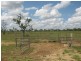 254 Sandy Creek Road, Charters Towers QLD 4820