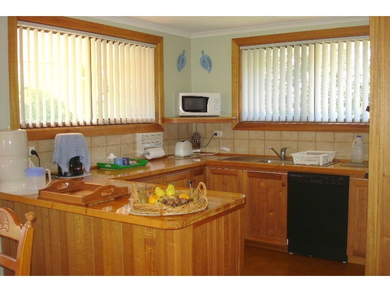 Squeaking Point TAS 7307