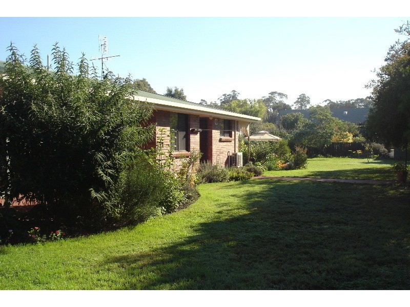 Squeaking Point TAS 7307