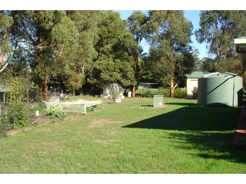 Squeaking Point TAS 7307