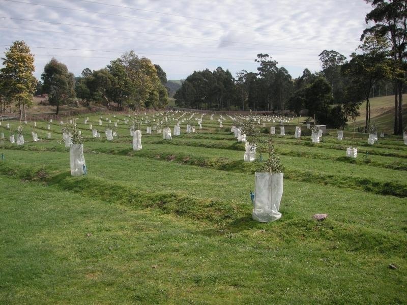 Acacia Hills TAS 7306