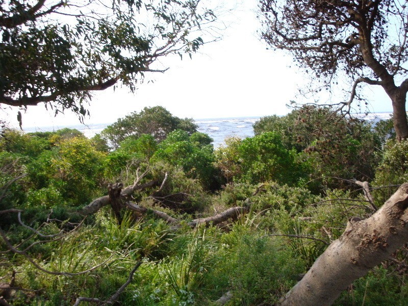 Turners Beach TAS 7315